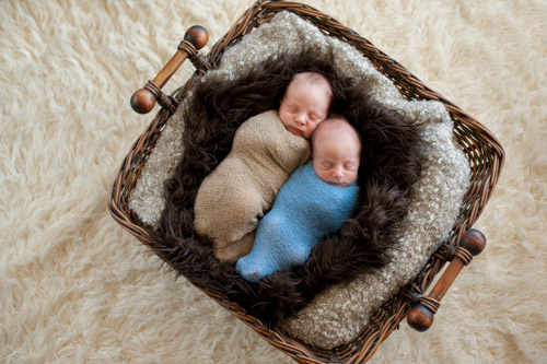 Twin boys in basket